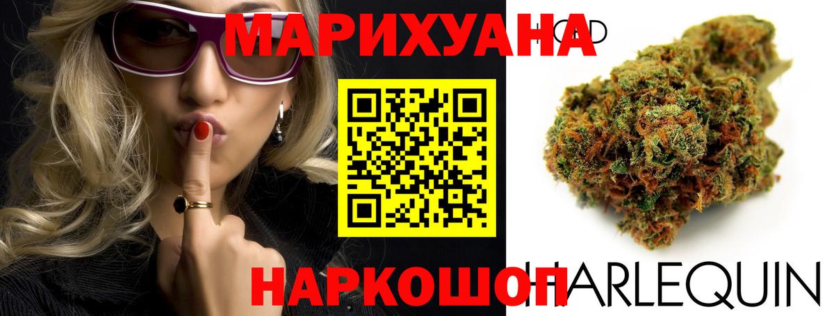 Канабис планчик Славгород